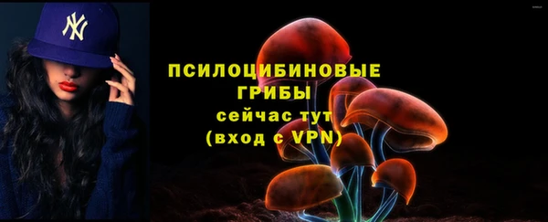 ГАЛЛЮЦИНОГЕННЫЕ ГРИБЫ Абинск