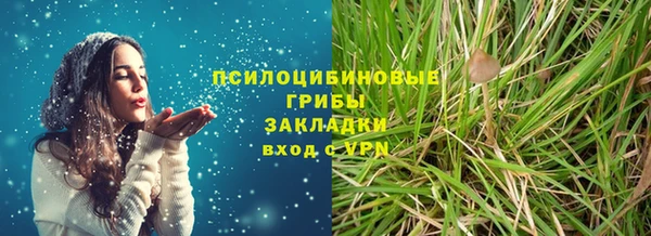 ГАЛЛЮЦИНОГЕННЫЕ ГРИБЫ Абинск