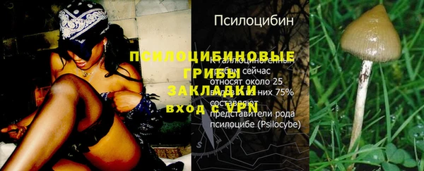 ГАЛЛЮЦИНОГЕННЫЕ ГРИБЫ Абинск