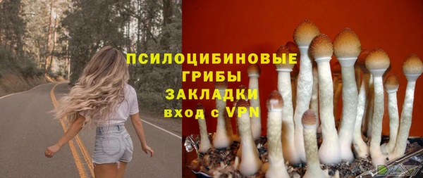 МДМА Абаза