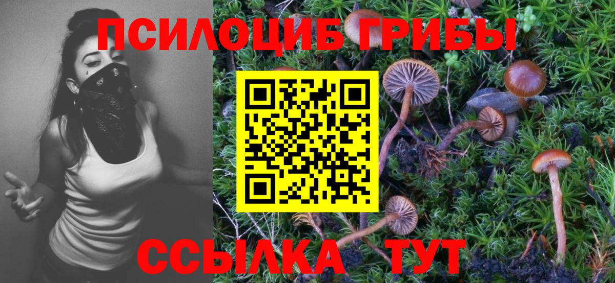 Галлюциногенные грибы мухоморы  Вход с VPN  Псилоцибиновые грибы Psilocybine cubensis  Заринск 