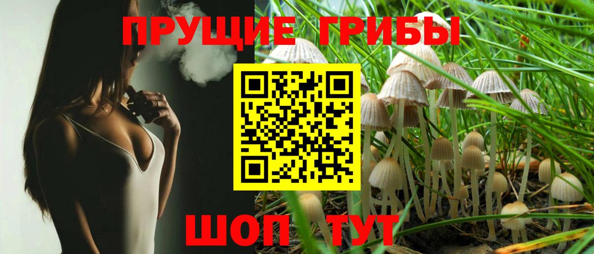 Галлюциногенные грибы Psilocybe Заринск